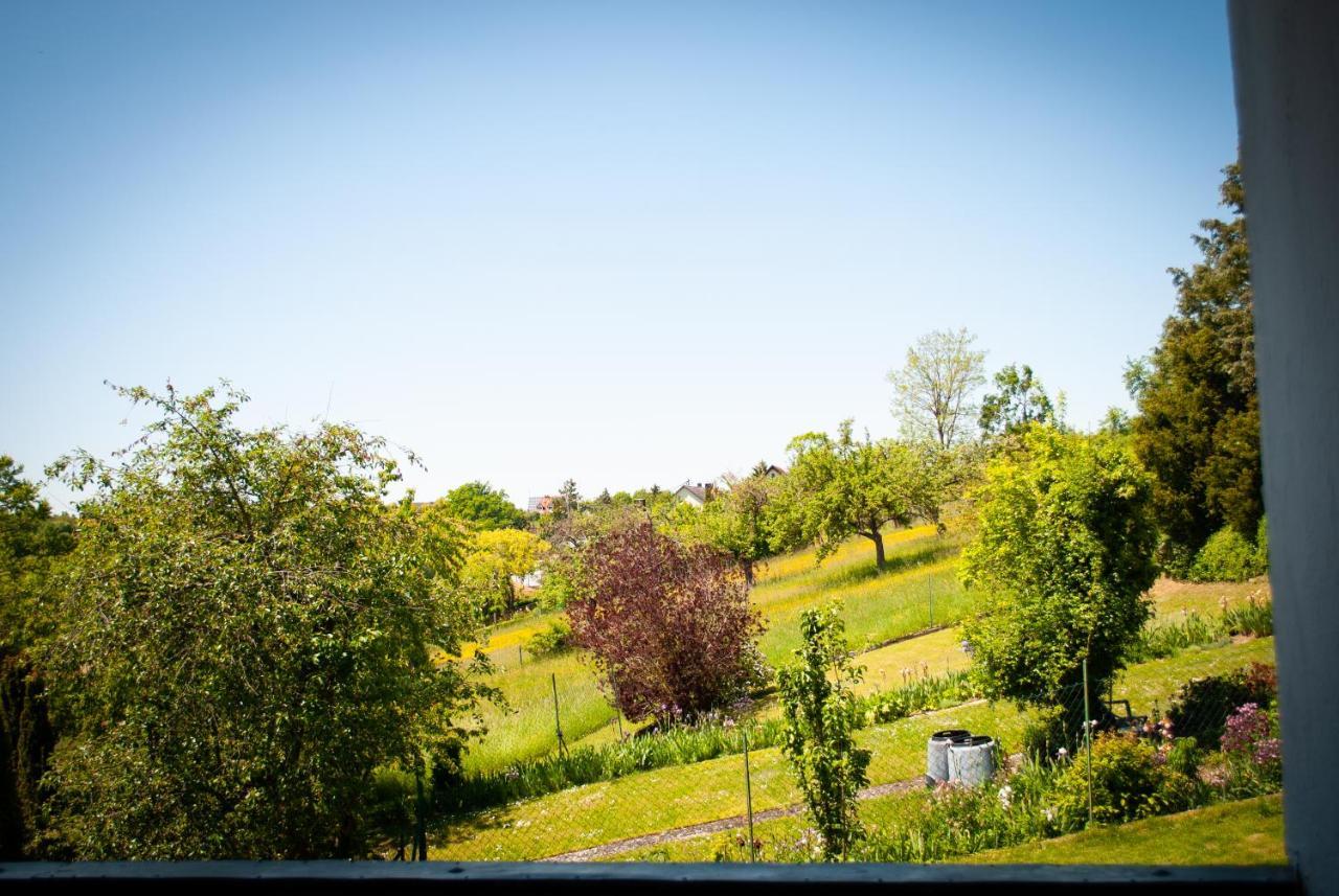 Ferienwohnungheimatgefuehl Rimpar Esterno foto