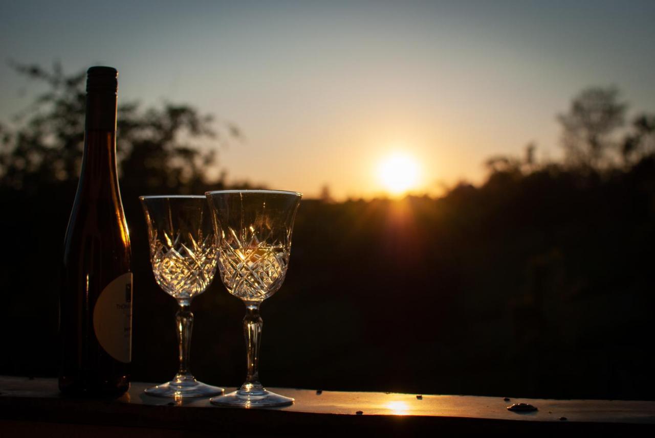 Ferienwohnungheimatgefuehl Rimpar Esterno foto